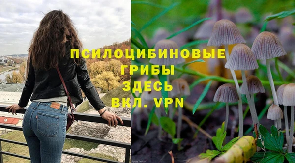 гидропоника Алзамай