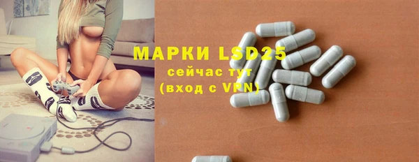 гидропоника Алзамай