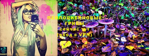 амфетамин Алексин