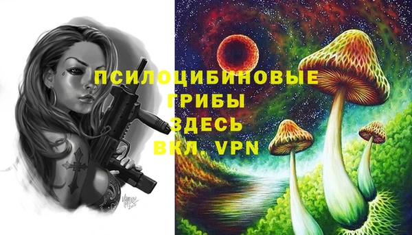 амфетамин Алексин
