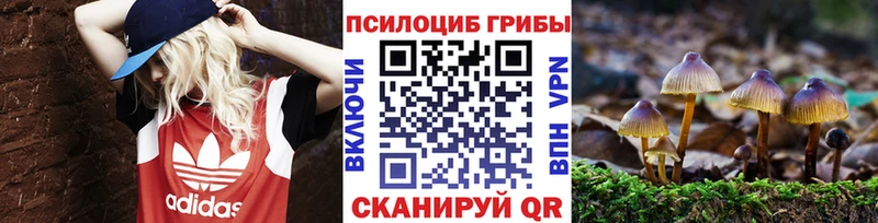 Псилоцибиновые грибы MAGIC MUSHROOMS  Старая Купавна 